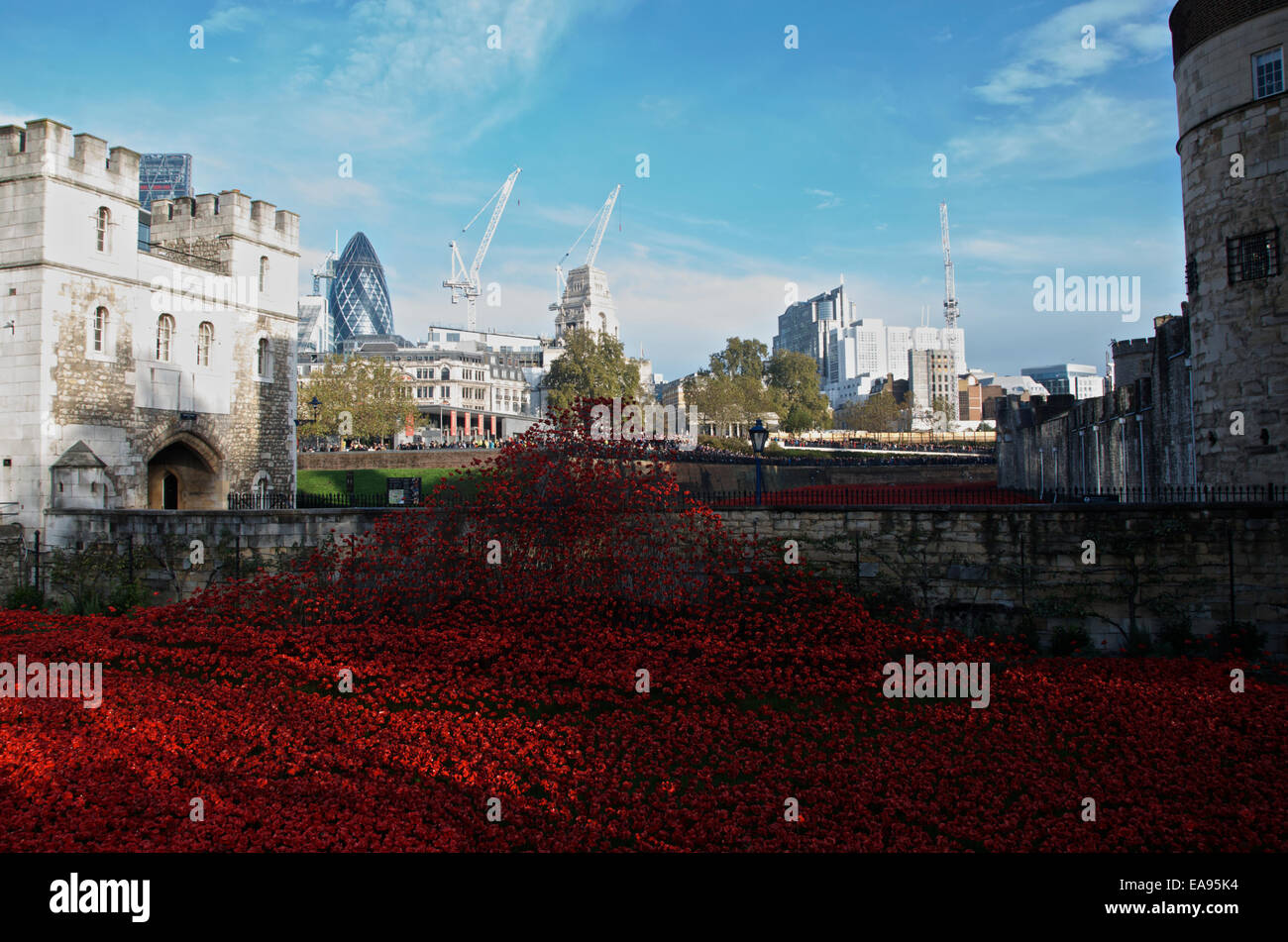 La folla si raccolgono la mattina del ricordo domenica 9 novembre 2014 presso la Torre di Londra, per vedere i papaveri nel fossato.L'arte instillazione intitolato sangue spazzata di terre e mari di rosso che commemora il centenario dell inizio di WW1 in 1914 ha attirato milioni di visitatori. Foto Stock