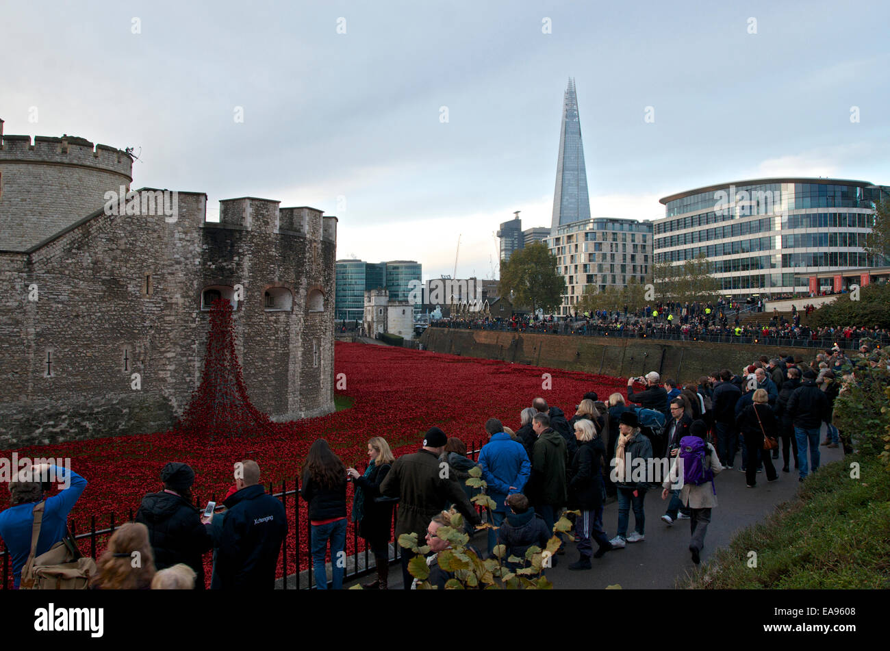 La folla si riuniscono nelle prime ore del mattino del ricordo domenica 9 novembre 2014 presso la Torre di Londra, per vedere i papaveri nel fossato.L'arte instillazione intitolato sangue spazzata di terre e mari di rosso che commemora il centenario dell inizio di WW1 in 1914 ha attirato milioni di visitatori. Foto Stock