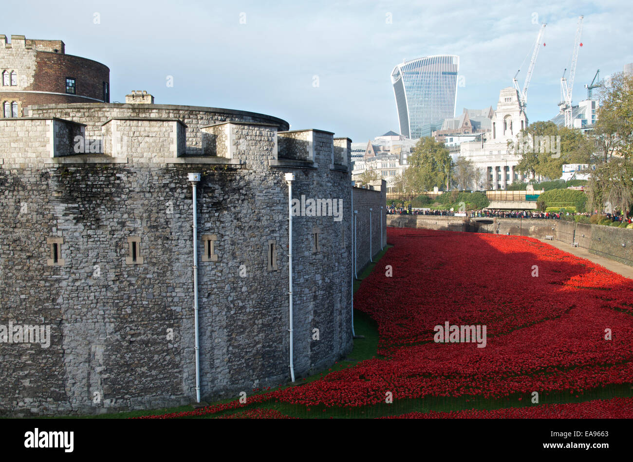 La folla si raccolgono la mattina del ricordo domenica 9 novembre 2014 presso la Torre di Londra, per vedere i papaveri nel fossato.L'arte instillazione intitolato sangue spazzata di terre e mari di rosso che commemora il centenario dell inizio di WW1 in 1914 ha attirato milioni di visitatori. Foto Stock