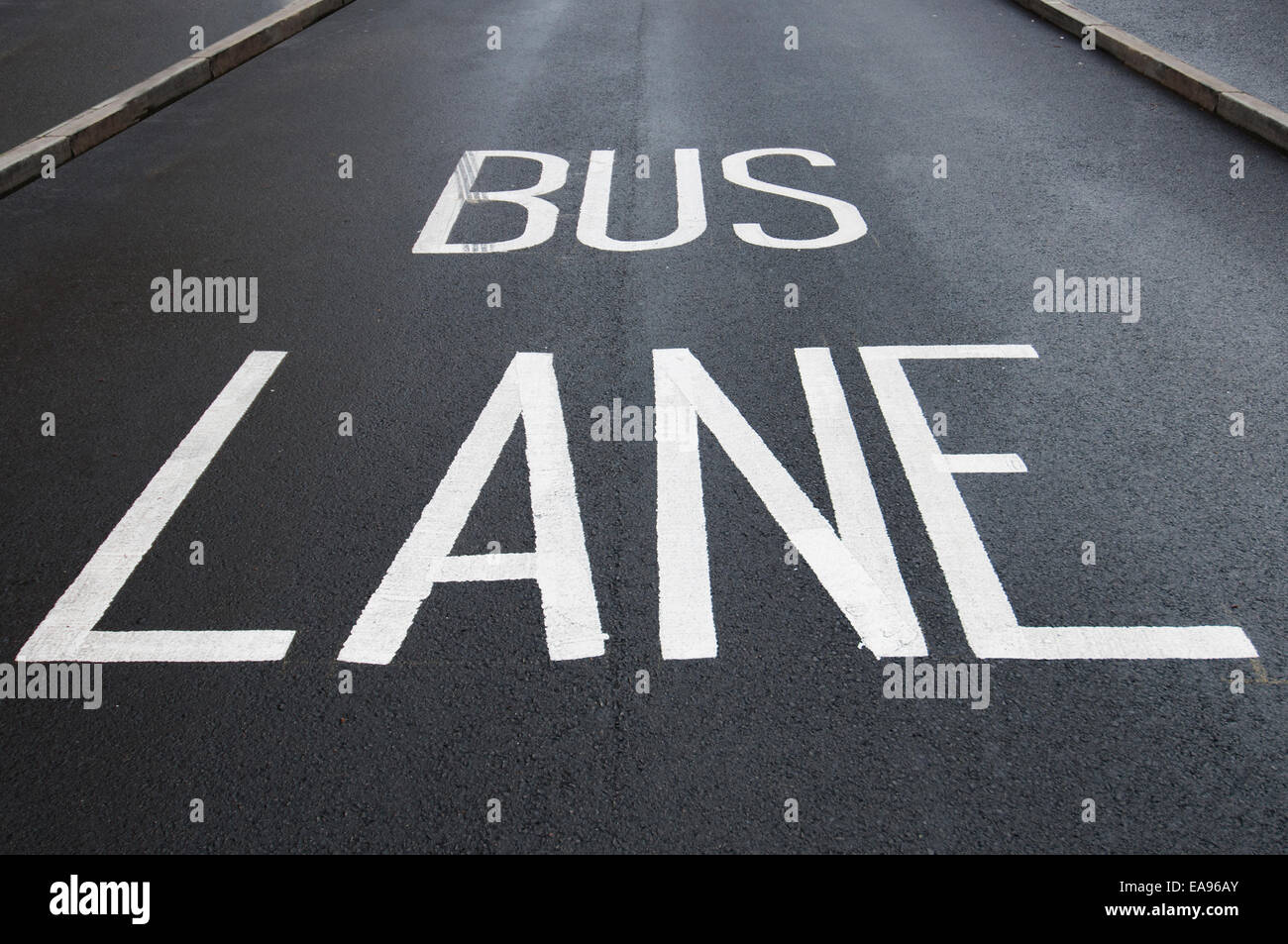 Corsia degli autobus dipinto sulla strada asfaltata Foto Stock