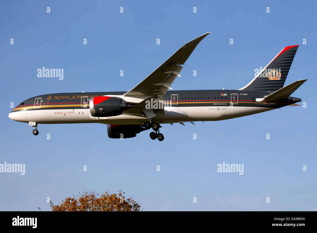 Royal Jordanian Boeing approcci 787-8 pista 27L all'Aeroporto di Londra Heathrow. Foto Stock