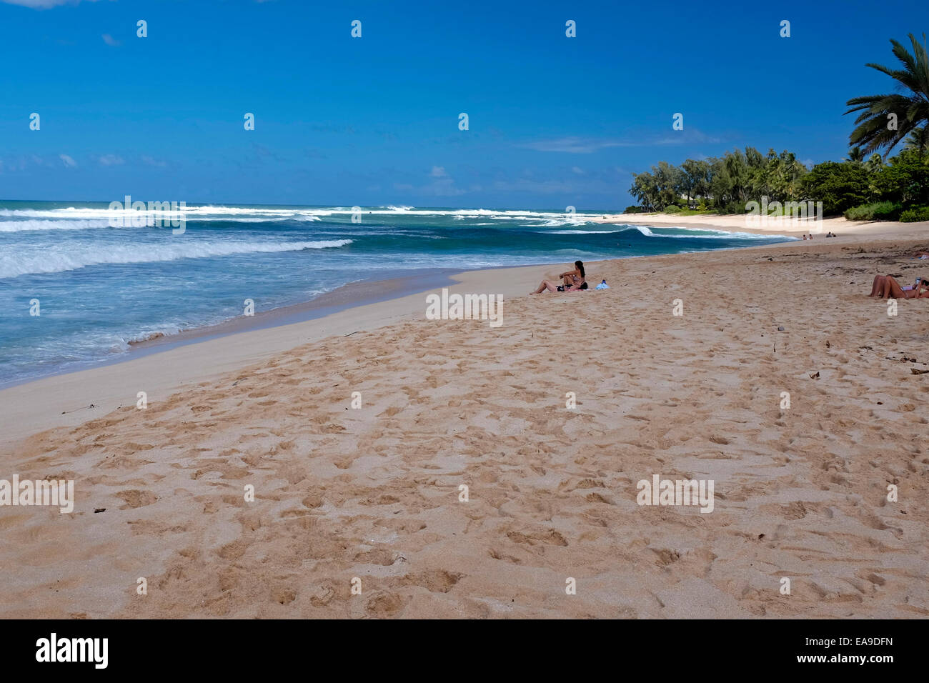 North Shore Oahu, Hawaii Foto Stock