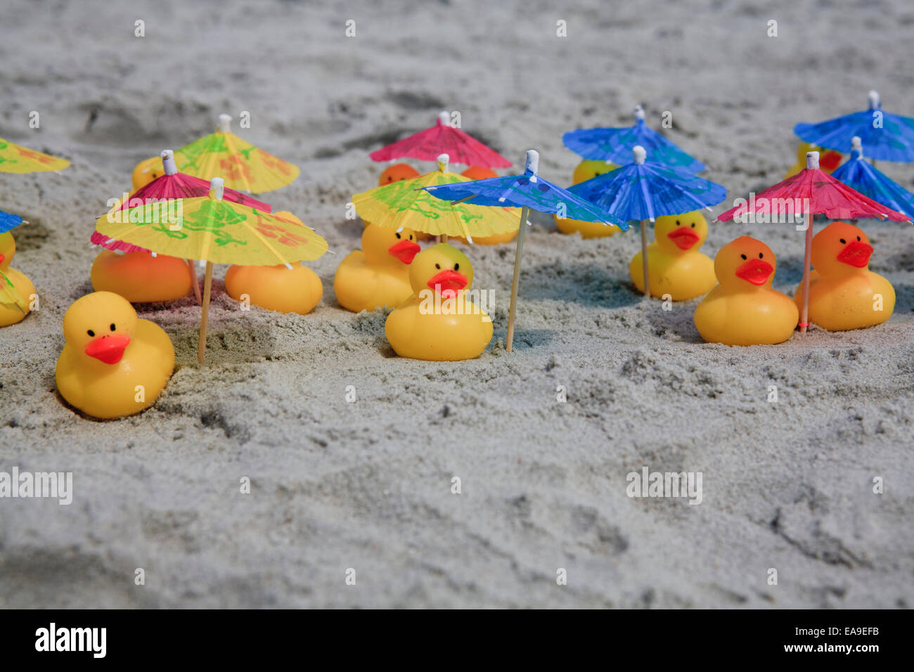 Le papere di gomma a rilassarci in spiaggia sotto gli ombrelloni. Foto Stock