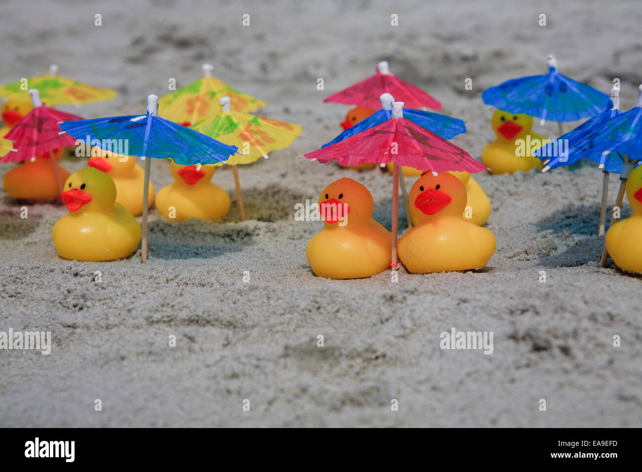 Le papere di gomma a rilassarci in spiaggia sotto gli ombrelloni. Foto Stock
