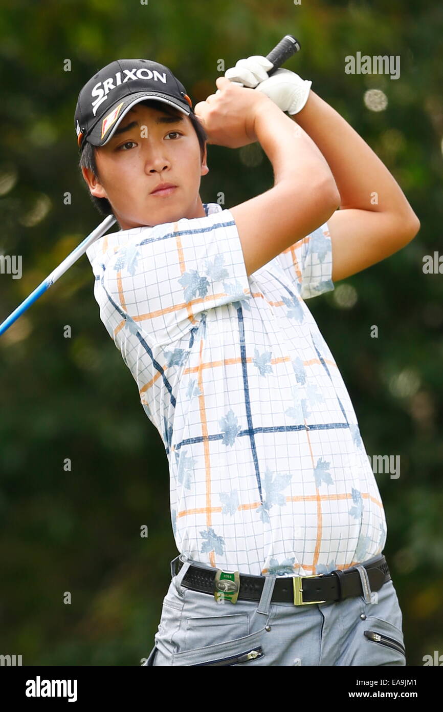Chiba, Giappone. 6 Nov, 2014. Takashi Ogiso Golf : HEIWA PGM CAMPIONATO Kasumigaura nel primo round a Miho Golf Club a Chiba, Giappone . © AFLO SPORT/Alamy Live News Foto Stock