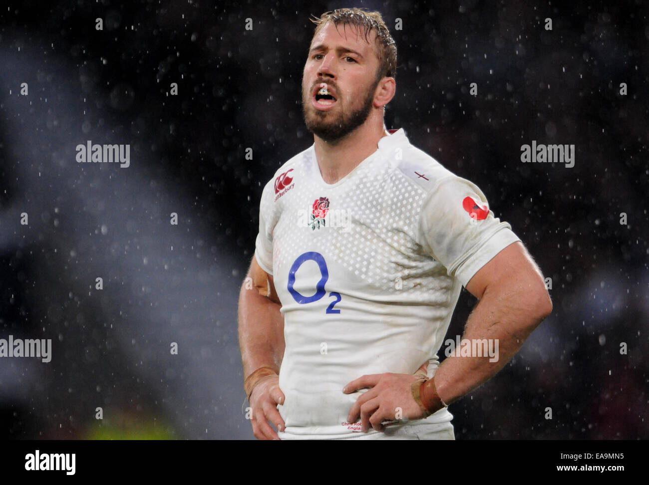 CHRIS ROBSHAW INGHILTERRA TWICKENHAM Londra Inghilterra 08 Novembre 2014 Foto Stock