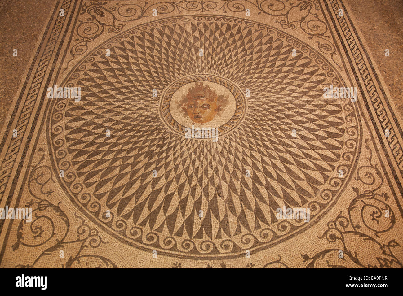 Roman pavimento a mosaico, all'interno del Museo di Archeologia, Ascoli Piceno, Le Marche, Italia Foto Stock