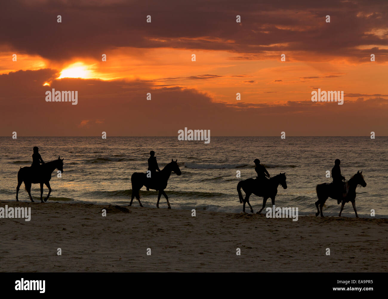 Slilhouette di quattro piloti a cavallo su una spiaggia del Mare del Nord nei Paesi Bassi Foto Stock