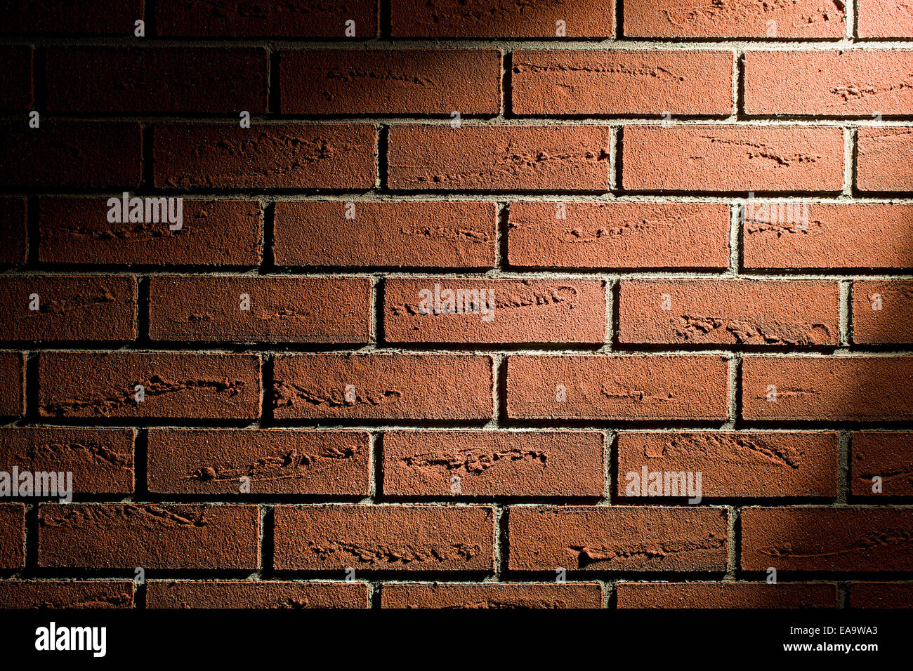 Muro di mattoni texture con la luce spot Foto Stock