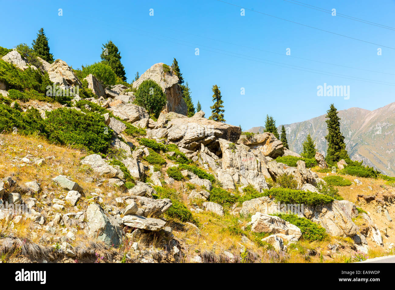 Natura vicino al grande Lago di Almaty, Tien Shan Montagne in Almaty, Kazakhstan,Asia di estate Foto Stock