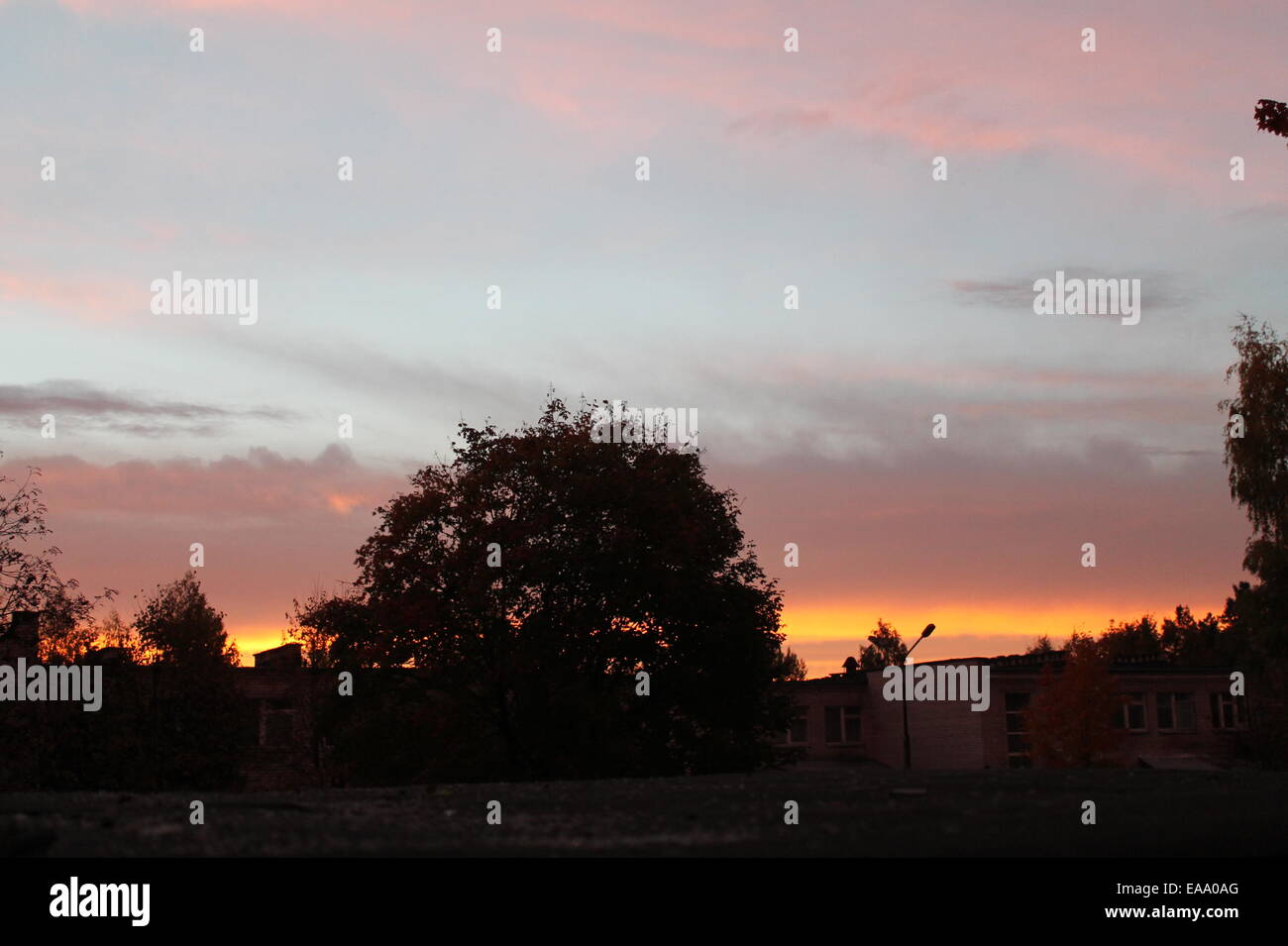 La mattina presto sun sollevare e bellissimo albero Foto Stock