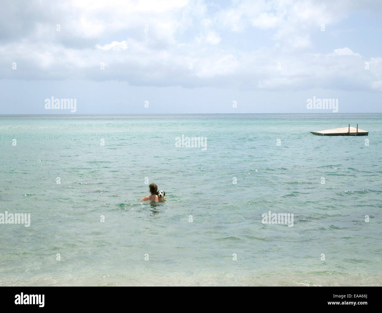 La donna nel mare dei Caraibi a nuoto con il suo cane Foto Stock