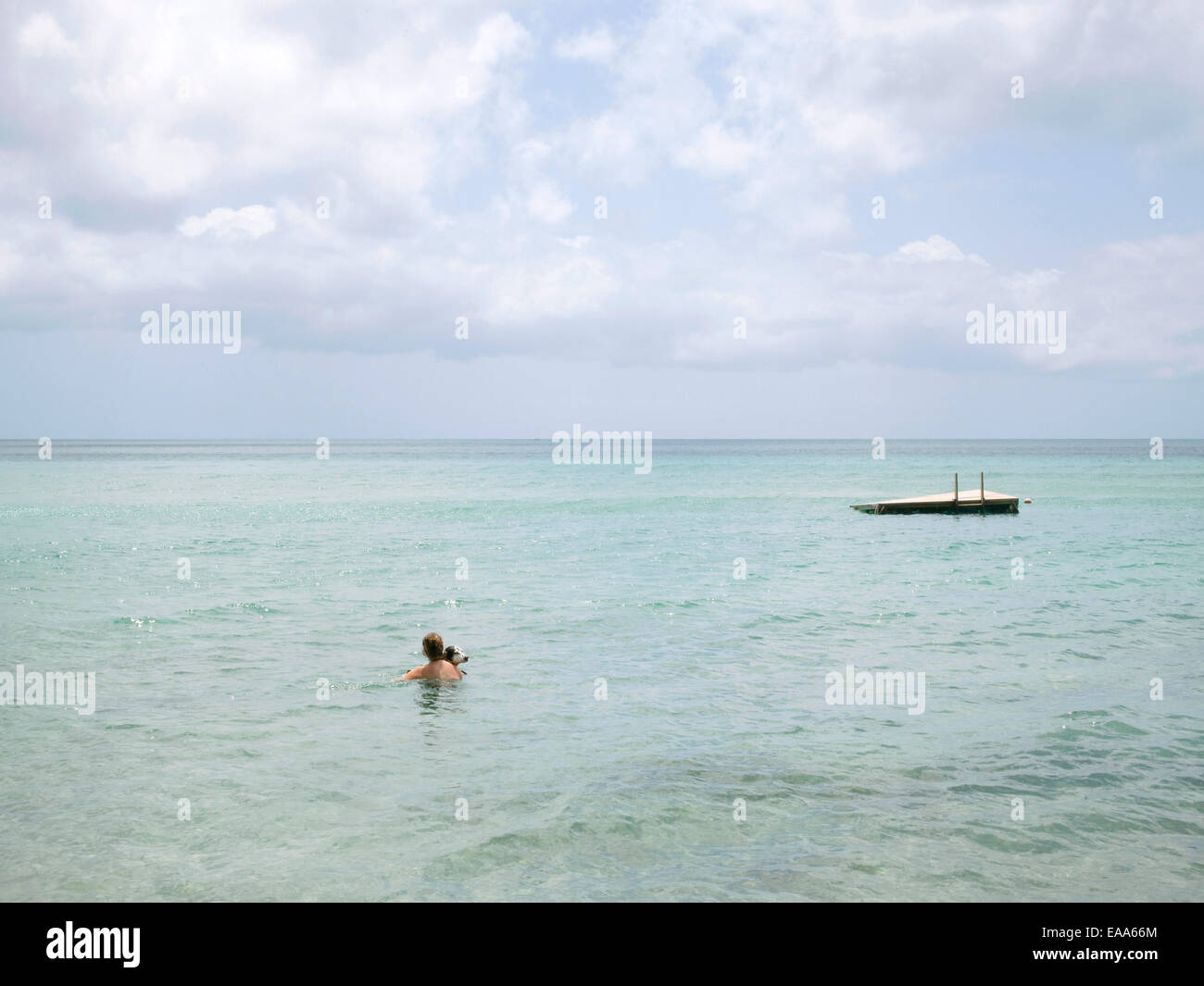 Donna e cane nuotare nel mare dei Caraibi Foto Stock