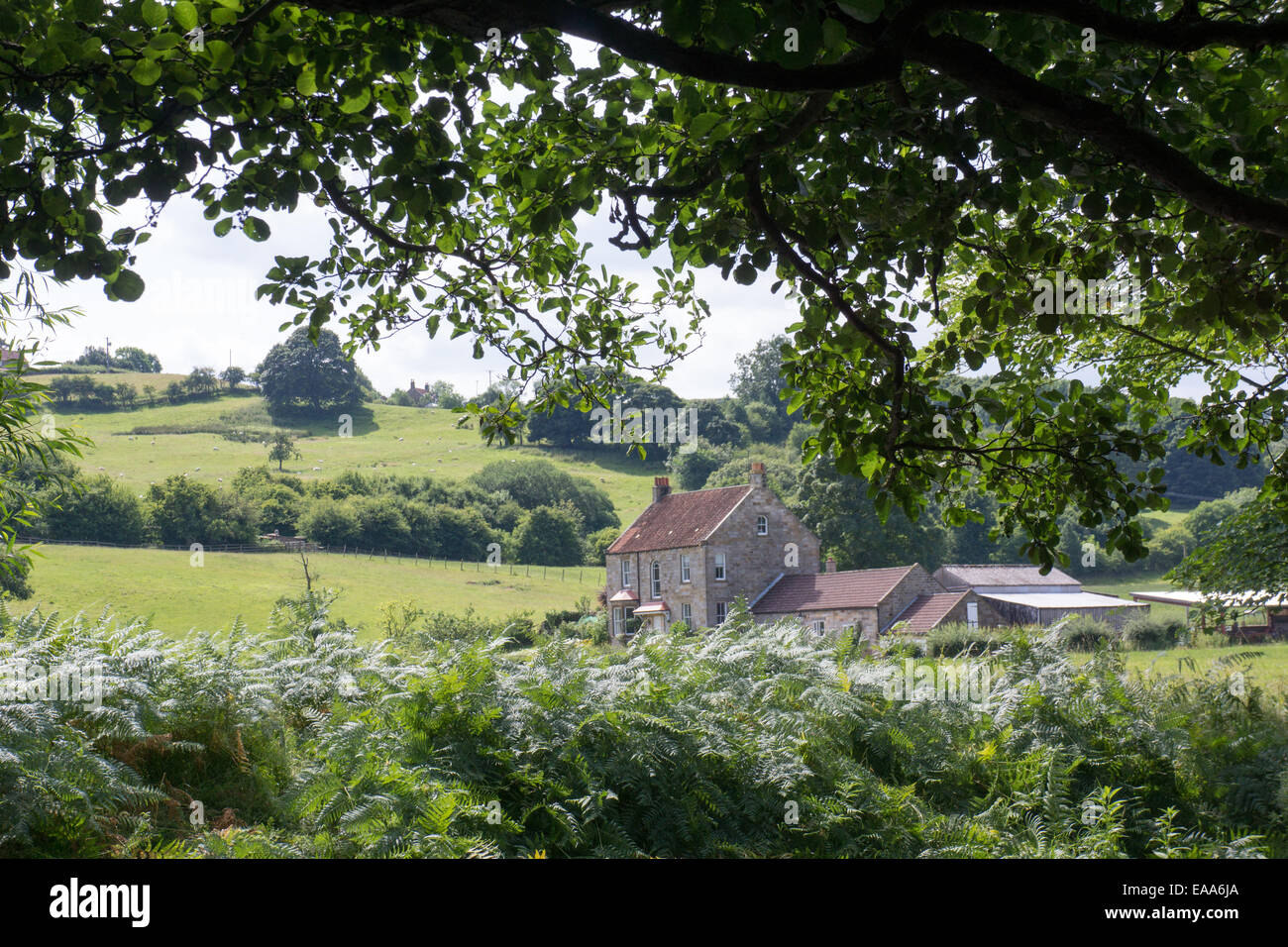 Affascinante fattoria in pietra immersa in una lussureggiante campagna verde, incorniciata da rami di alberi e campi ondulati in una luminosa giornata estiva Foto Stock