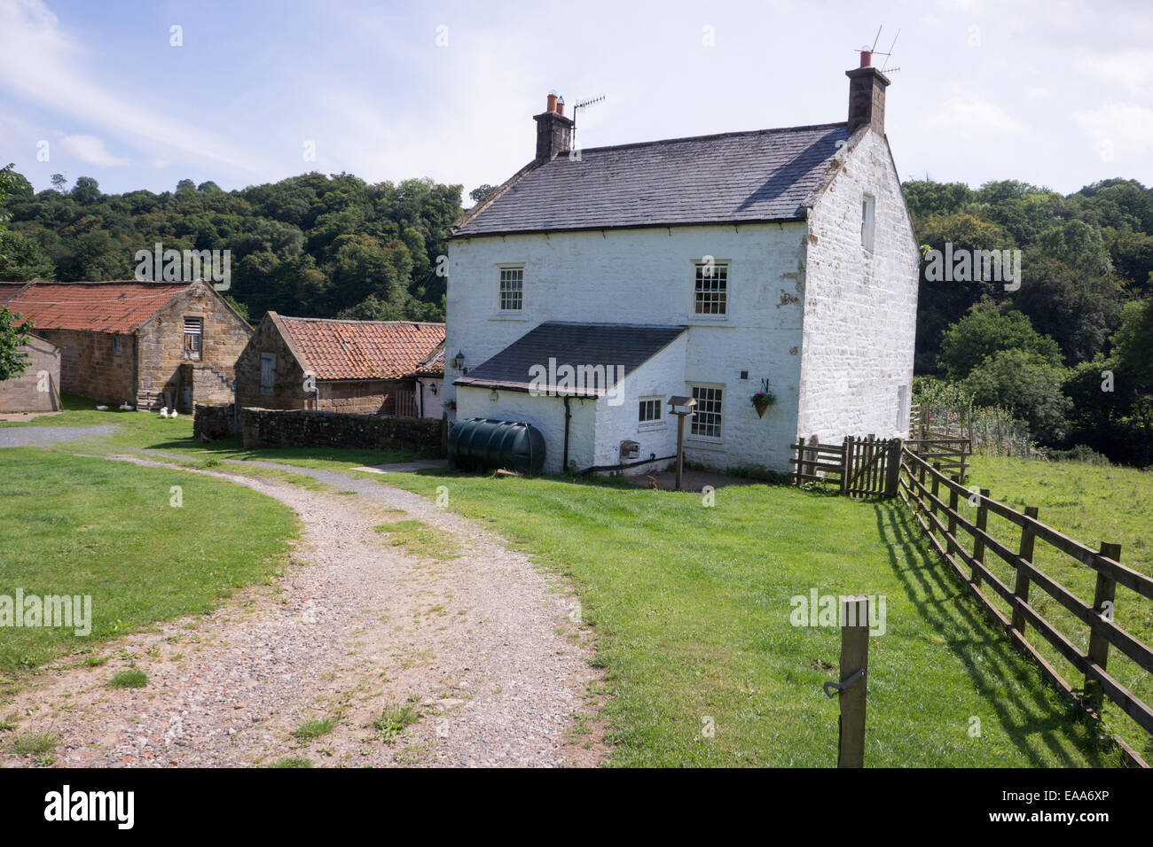 Storica fattoria rurale con annessi, adagiata tra campi verdi e boschi in una soleggiata giornata estiva. Foto Stock
