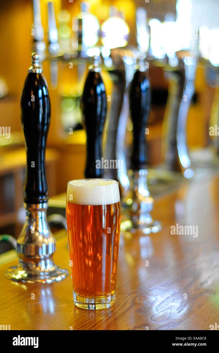 La pinta di birra in un bar Foto Stock