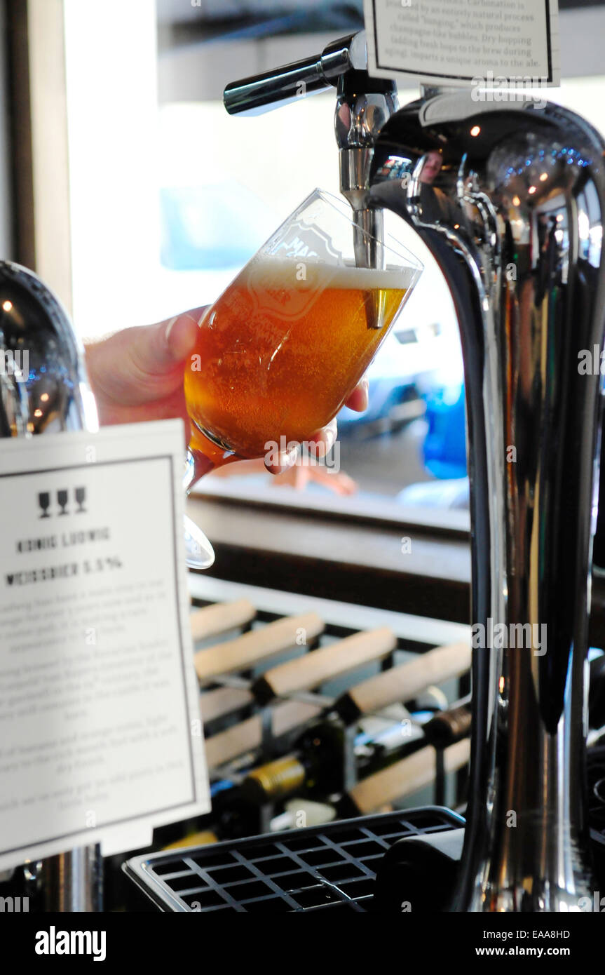 Bicchiere di birra che viene versata nel progetto House pub, Battersea, Londra Foto Stock