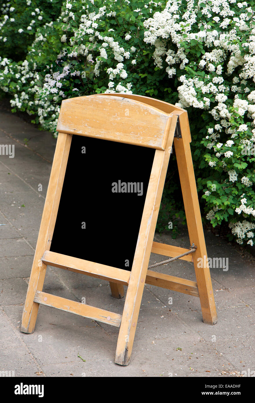 Menu vuoto lavagna contro di arbusti in fiore per aggiungere del testo Foto Stock