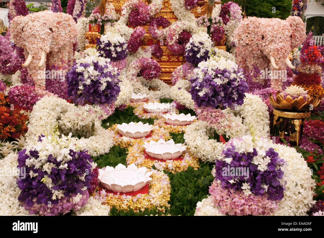 Chelsea Flower Show 2014. Thailandia orchid stand Foto Stock