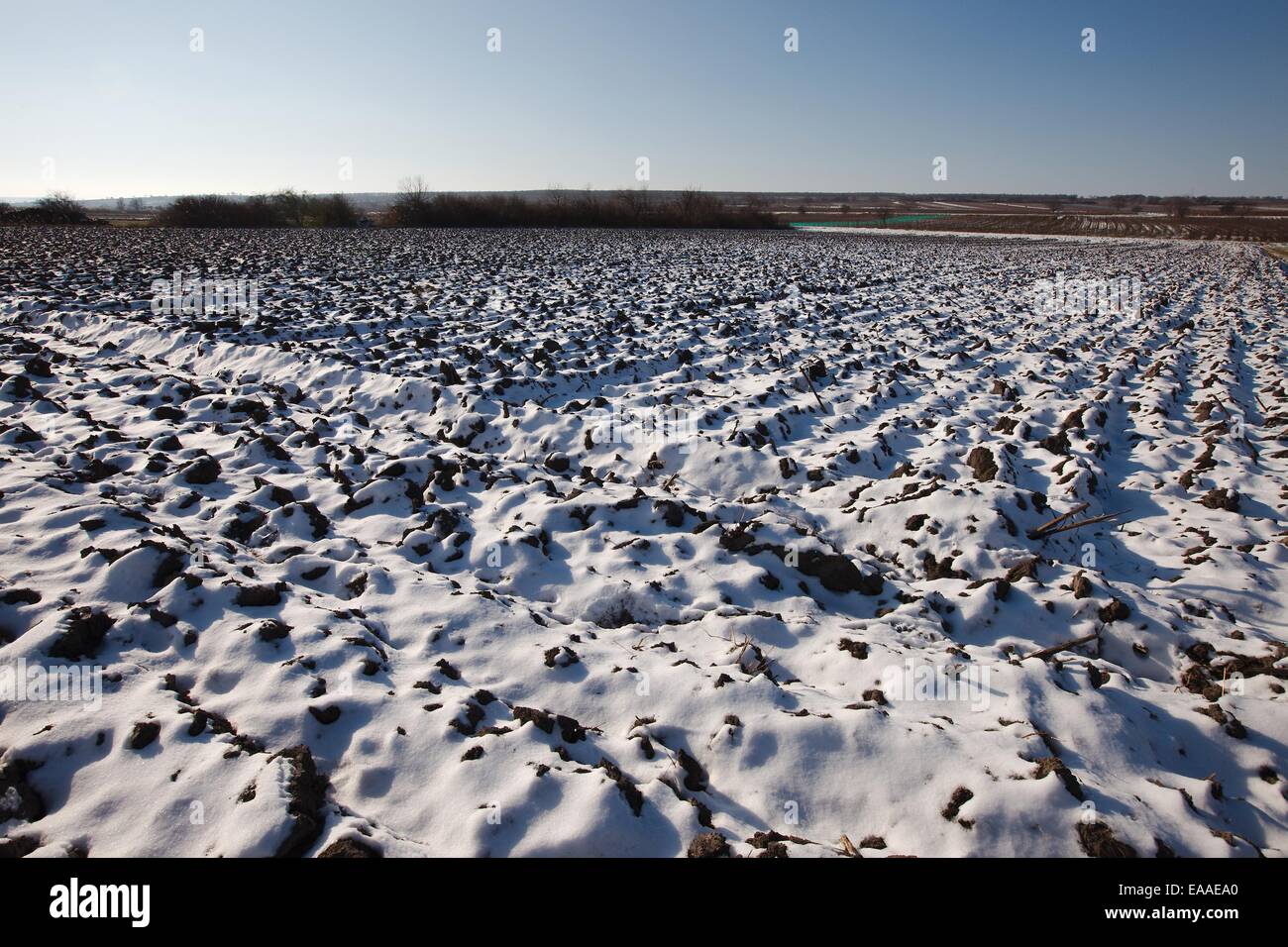 Campo nevoso Foto Stock