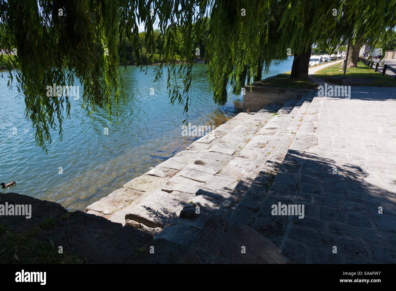 Gradini in pietra che conducono in basso verso il fiume onder gli alberi di salice in Jarnac Foto Stock