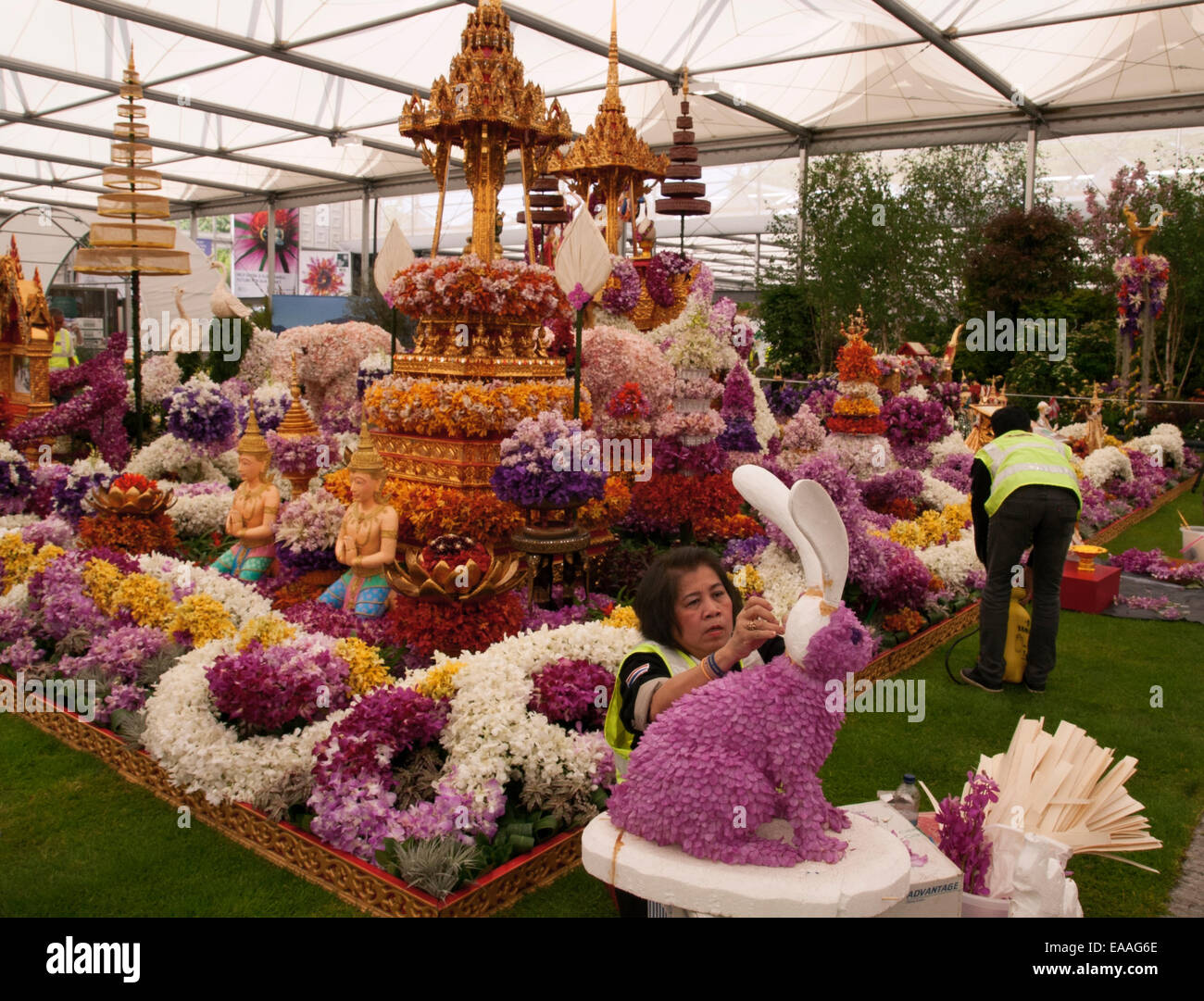 Chelsea Flower Show 2014. Popolo tailandese la finitura del Orchid Thailandia display Foto Stock