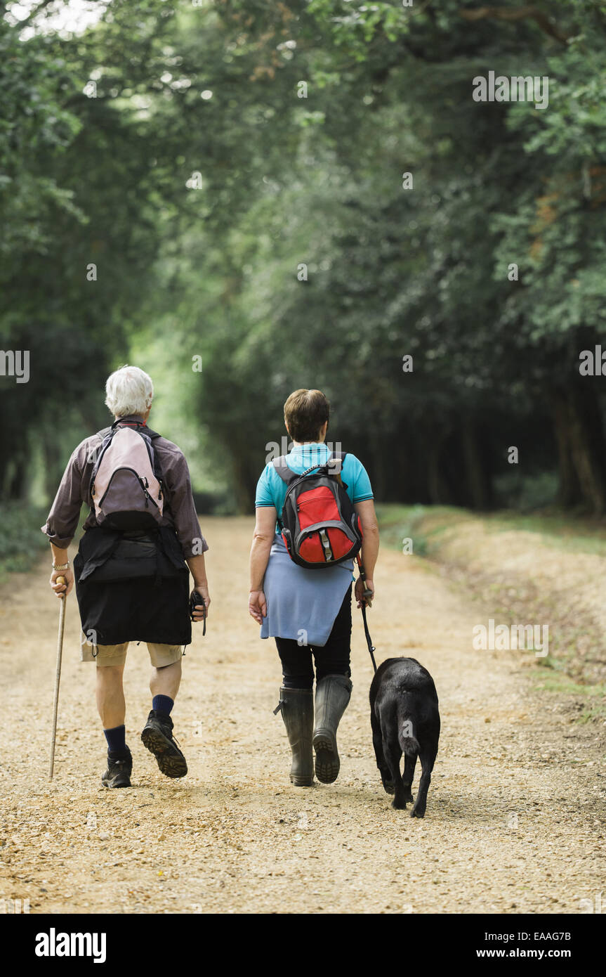 Una coppia matura escursionismo con il loro cane. Foto Stock