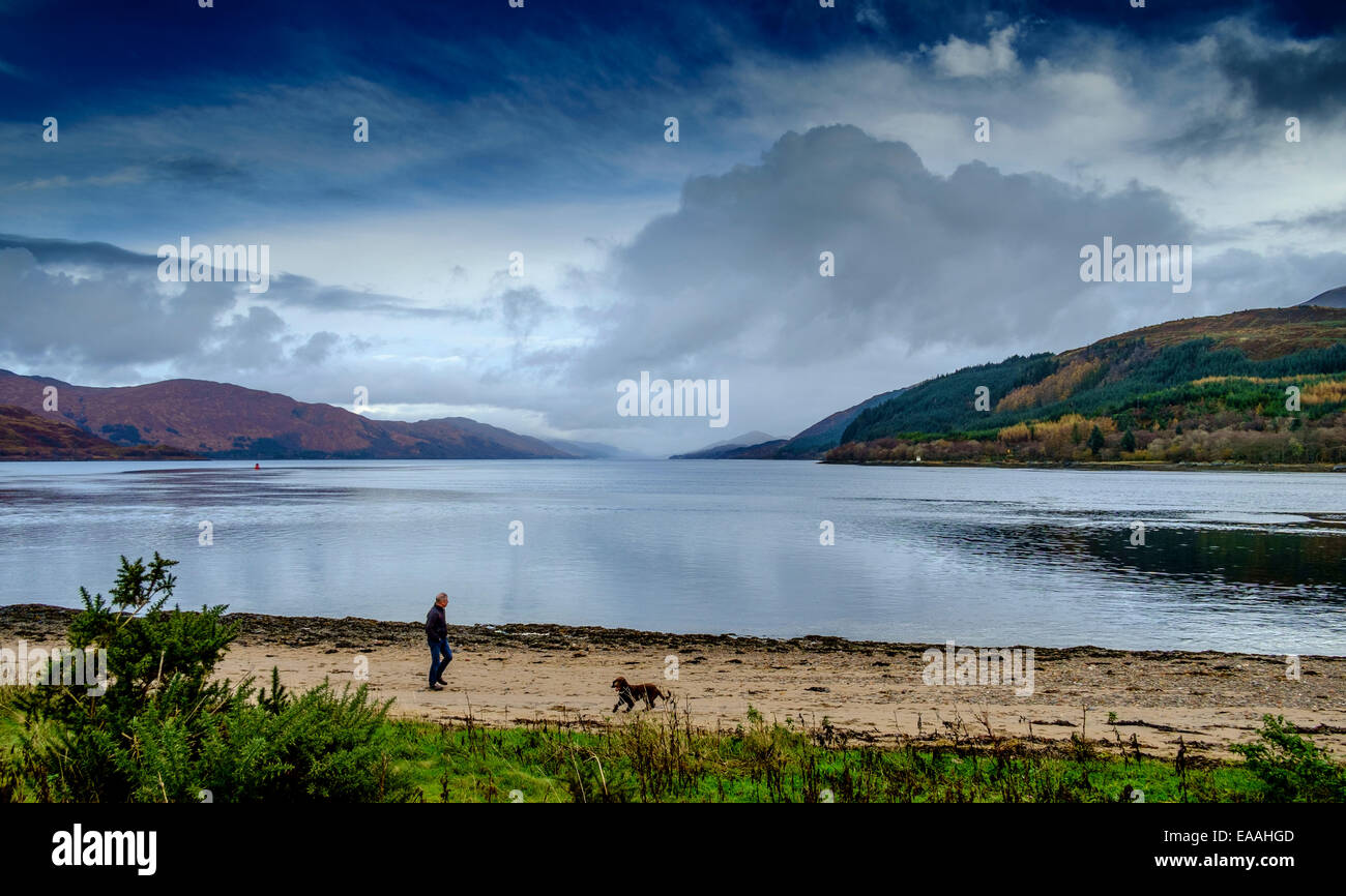Un uomo cammina il suo cane sulla spiaggia di Corran Highlands della Scozia Foto Stock
