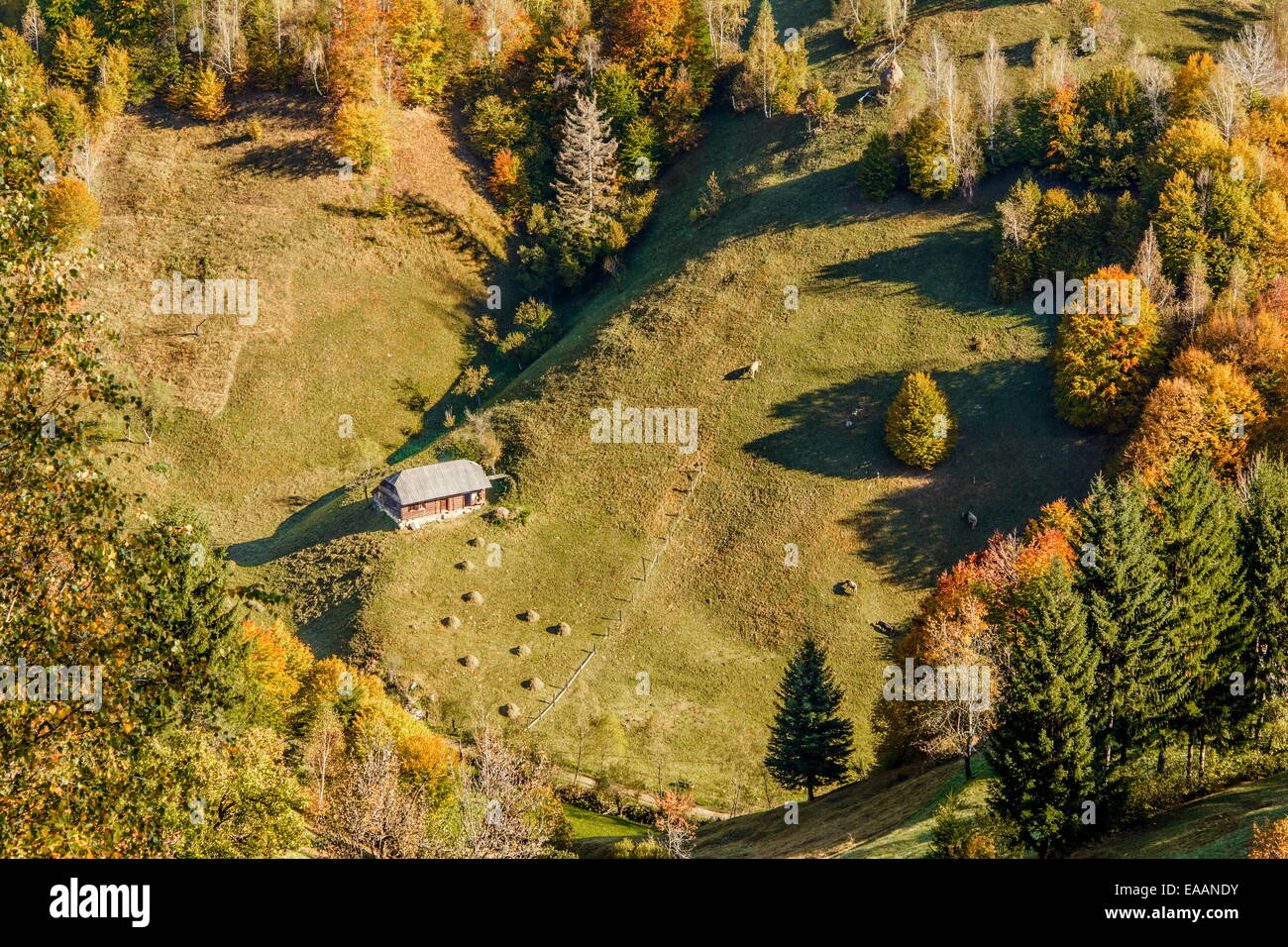 Paesaggio di campagna in un rumeno villlage presso il cibo di Piatra Craiului Mountains. Foto Stock