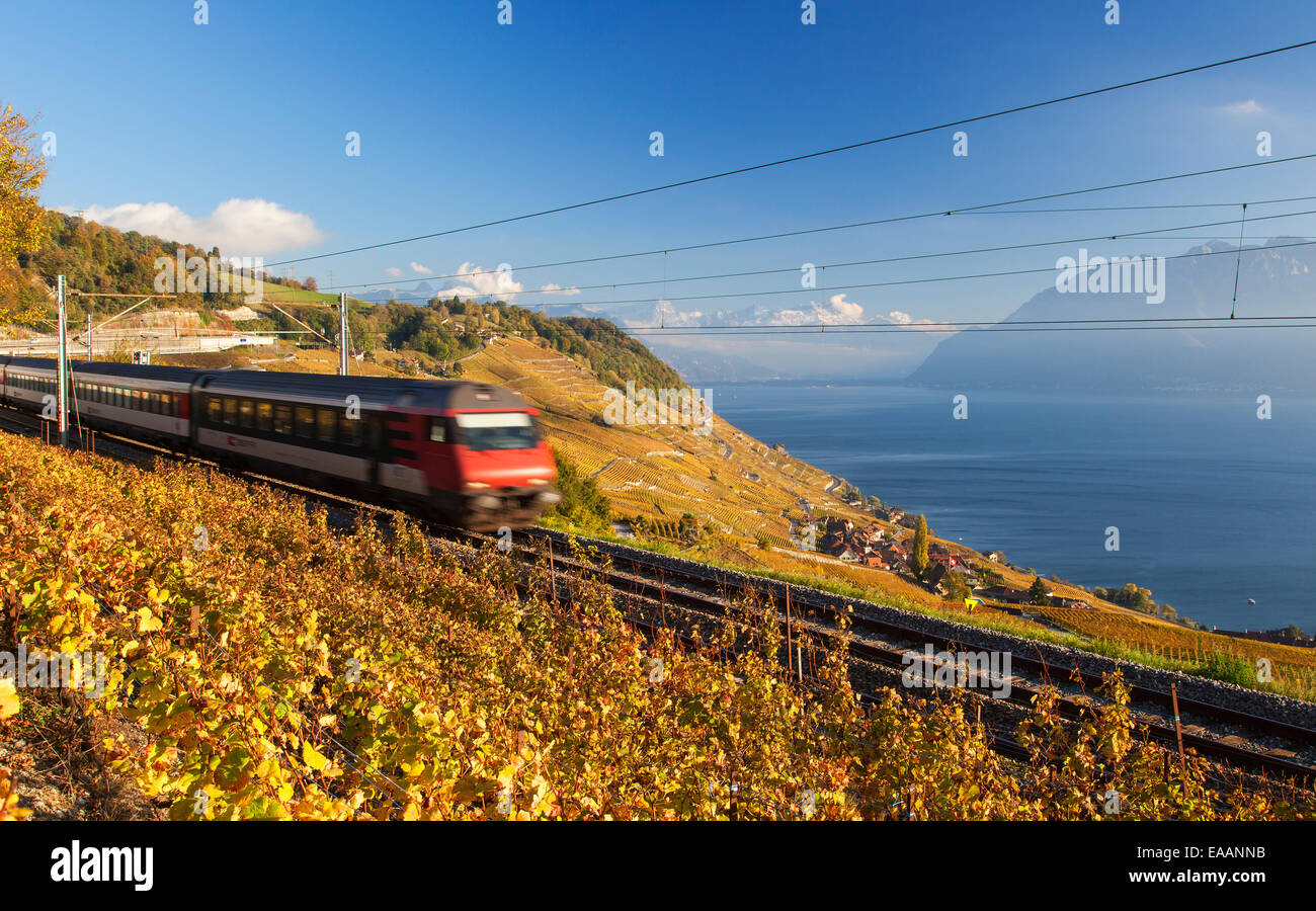 Un treno che passa attraverso l'Area del Patrimonio Mondiale del Lavaux, Svizzera Foto Stock