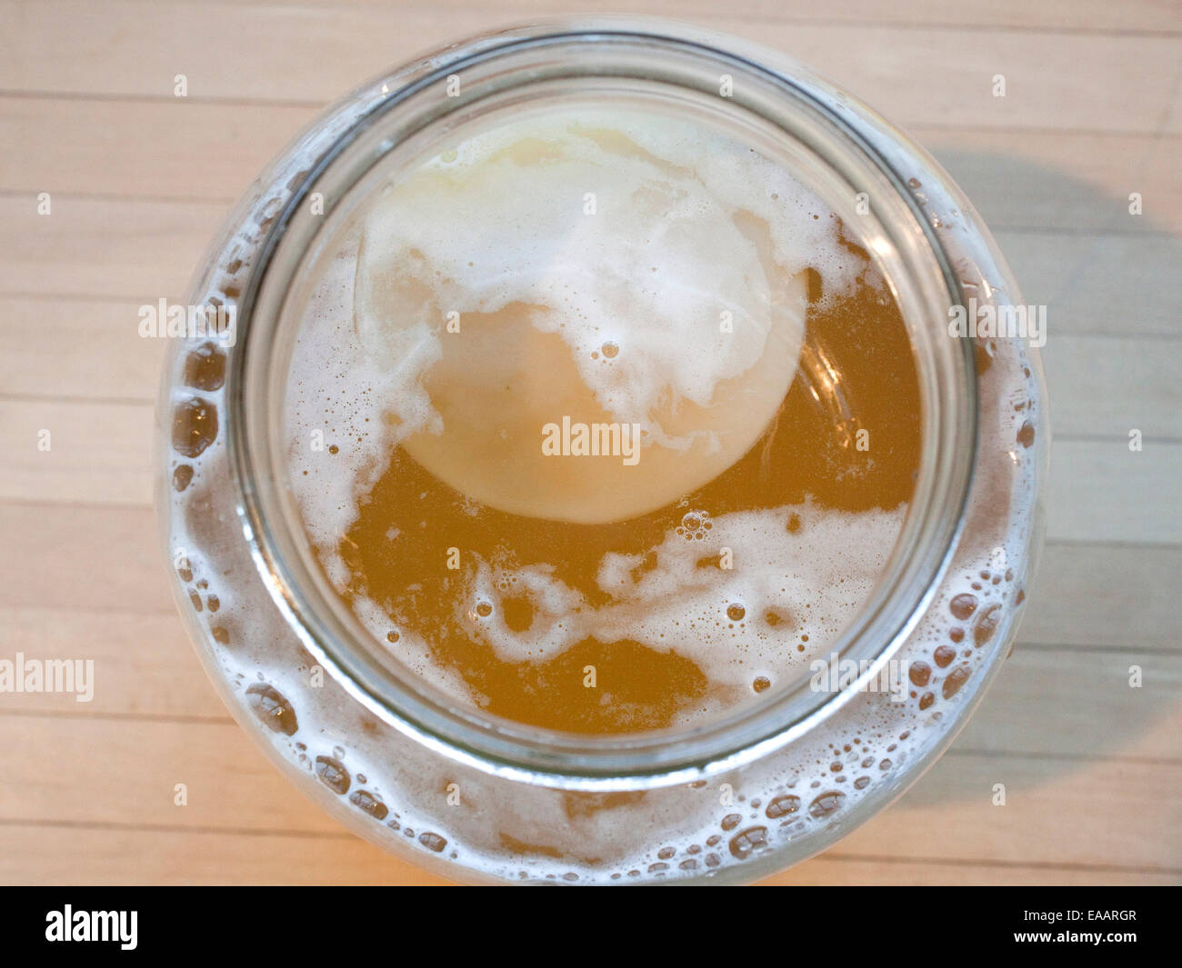 Rendendo il Kombucha Foto Stock