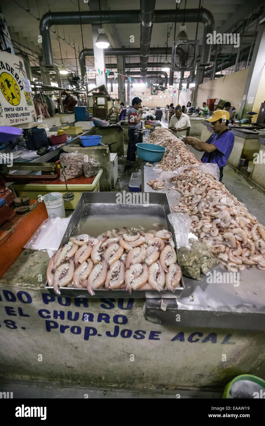 Supporto di gamberi con gamberetti puliti esposti per la vendita nel Mercado Principal, Campeche, Messico. Foto Stock