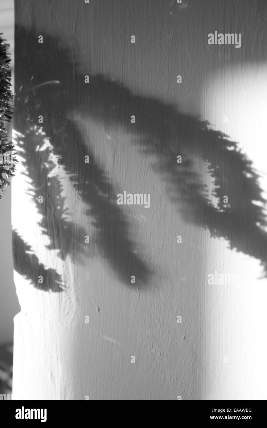 Scary spider gambe pelose ombre sulla parete. halloween, inquietante. in bianco e nero. Foto Stock