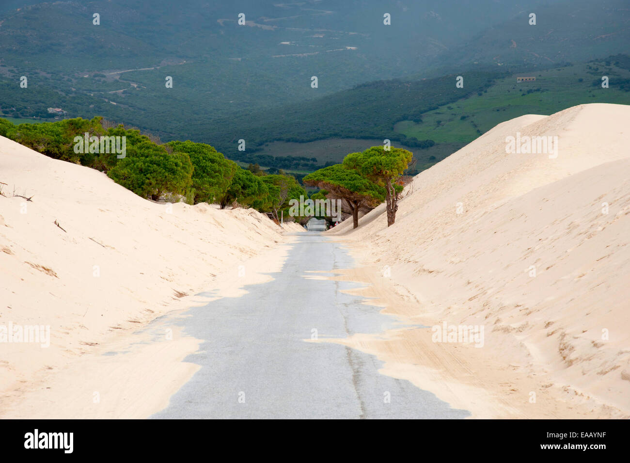 Girovagando dune di Bolonia a Tarifa, Andalusia, Spagna Foto Stock