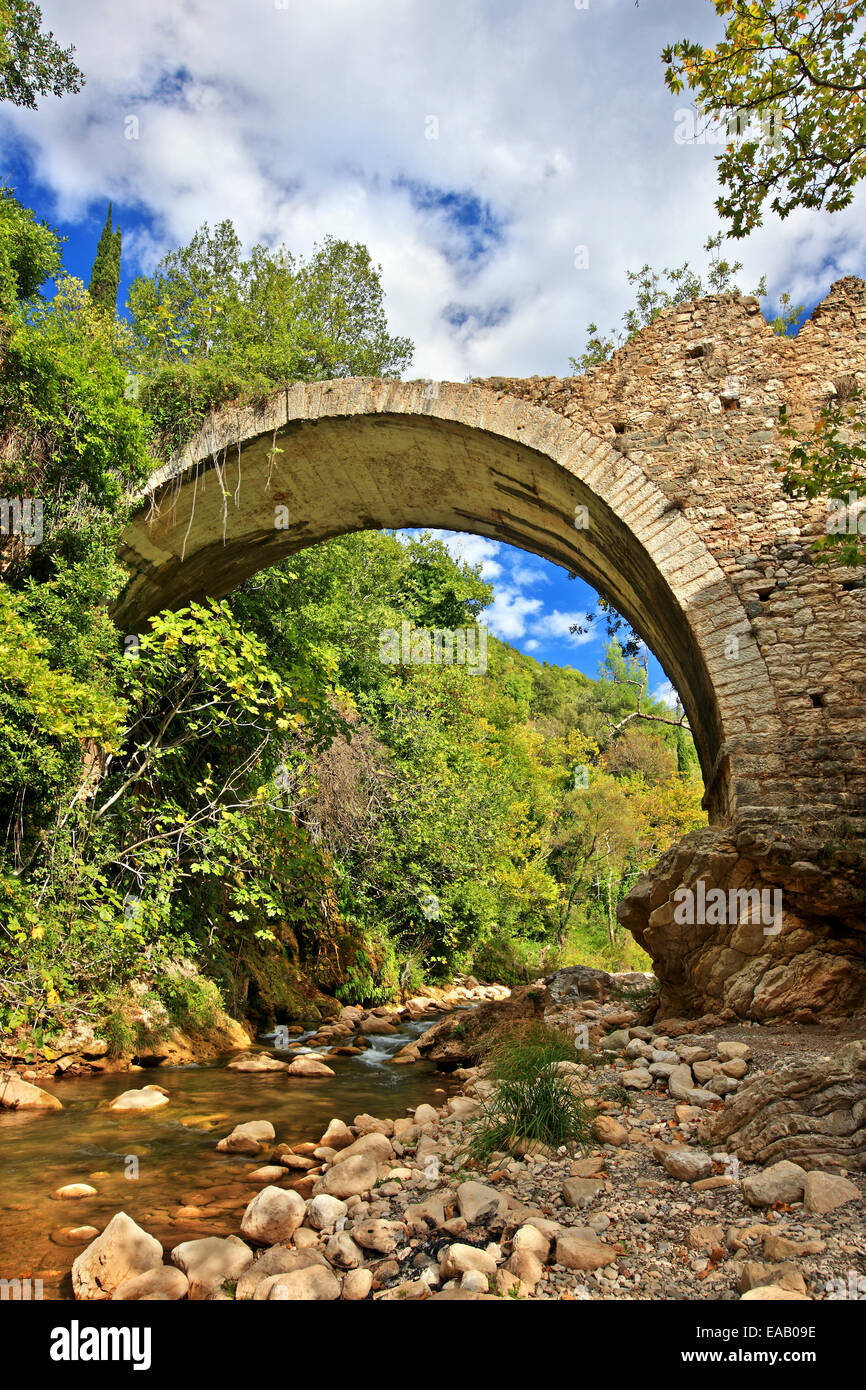Antica pietra arcuata di ponte sul fiume Neda, Neda canyon, al 'frontiere' di Messinia & Ileia, Peloponneso, Grecia Foto Stock