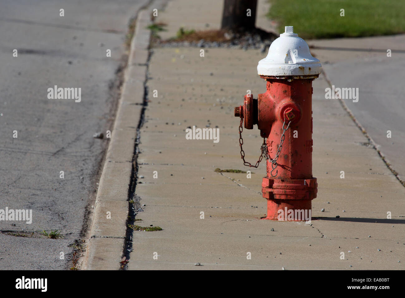 Il bianco e il rosso dipinto idrante di fuoco in piedi guarda su una strada di città in Stati Uniti d'America. Foto Stock