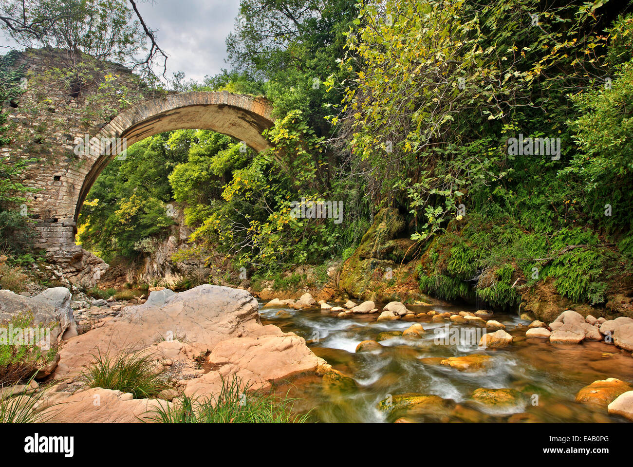 Antica pietra arcuata di ponte sul fiume Neda, Neda canyon, al 'frontiere' di Messinia & Ileia, Peloponneso, Grecia Foto Stock