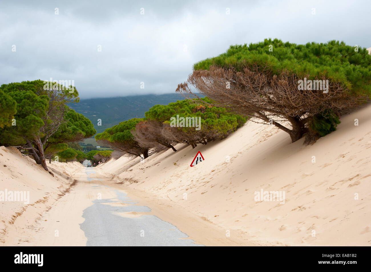Girovagando dune di Bolonia a Tarifa, Andalusia, Spagna Foto Stock