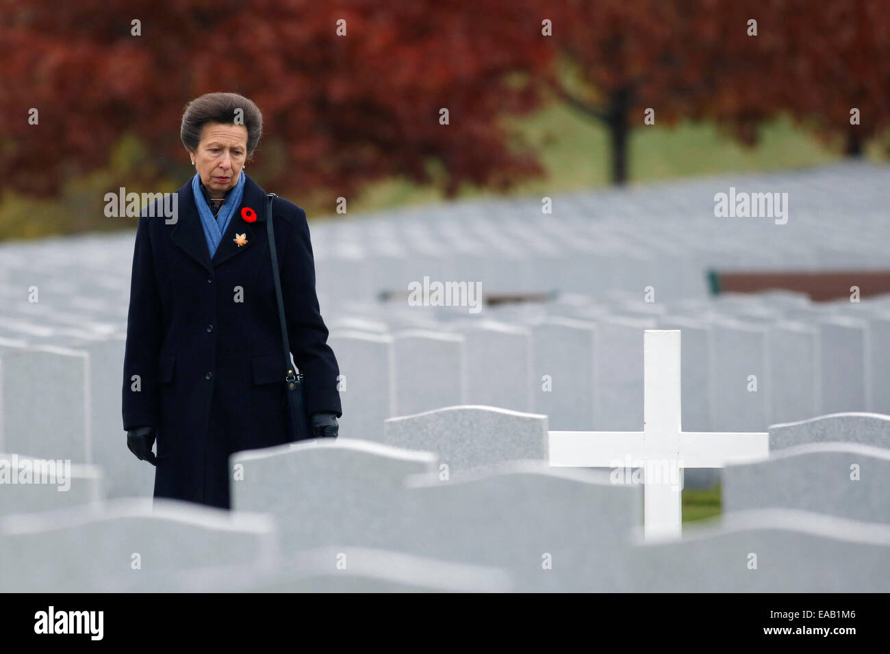 Ottawa. Decimo Nov, 2014. British Princess Anne Elizabeth Alice Louise visiti la Nazionale cimitero militare come parte di una tre giorni di tour della regione della capitale nazionale di Ottawa in Canada il 9 novembre 10, 2014. Credito: David Kawai/Xinhua/Alamy Live News Foto Stock