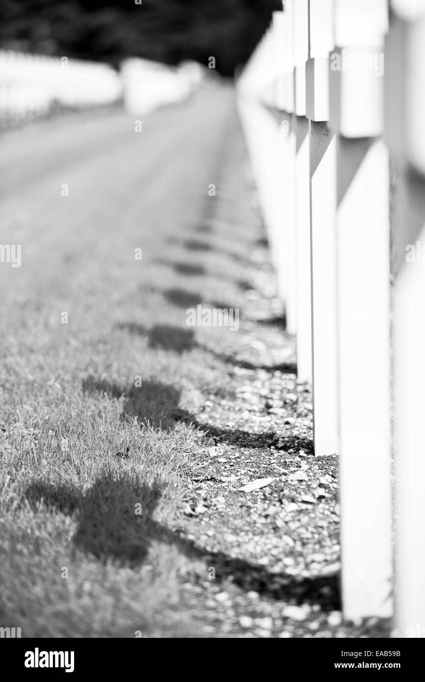 La Nazionale Francese e il cimitero di Douaumont Ossario vicino a Fort Douaumont in Francia Foto Stock