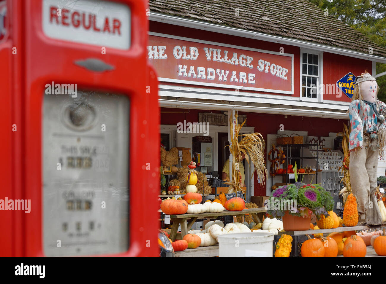 Paese store, uccello in mano, a Lancaster, Pennsylvania, STATI UNITI D'AMERICA Foto Stock