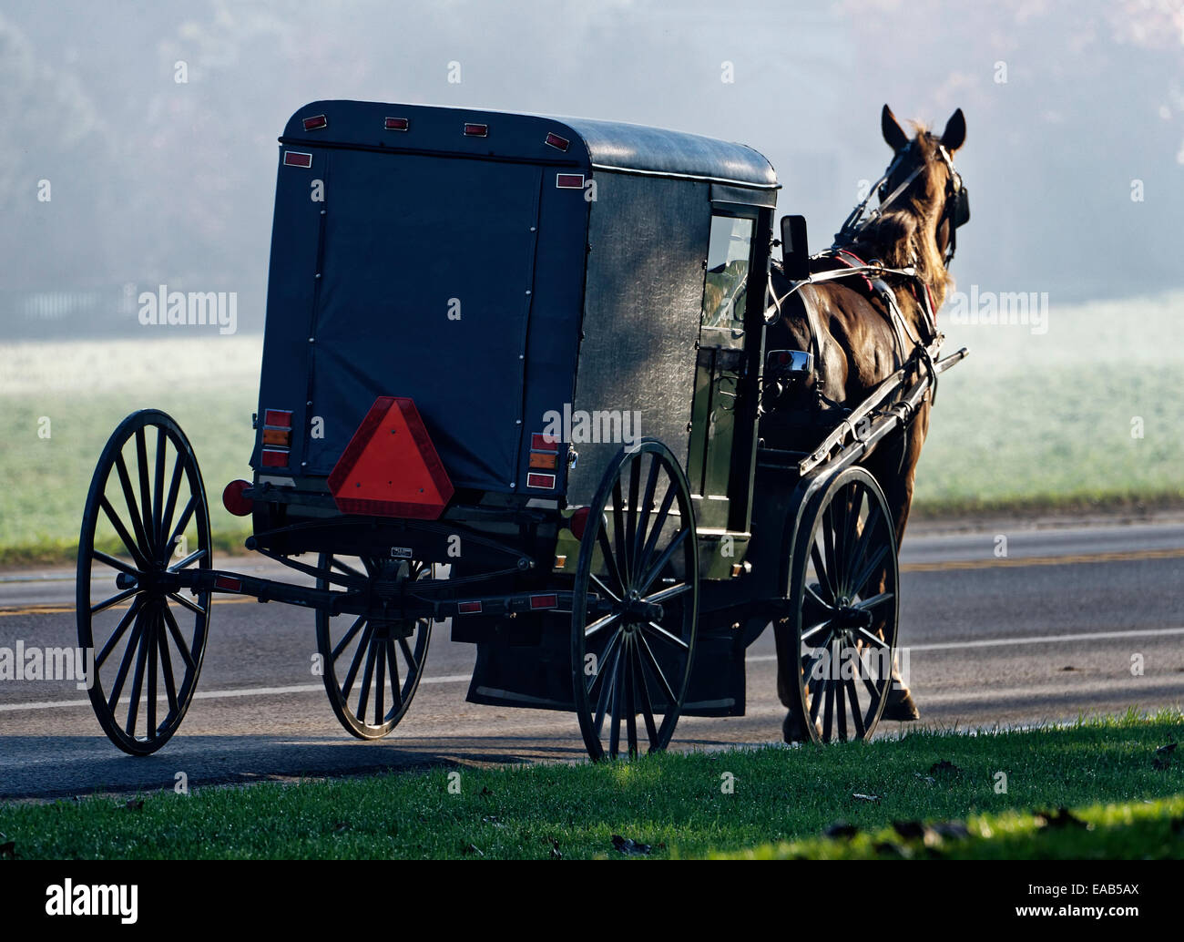 Amish buggy, Ronks, Lancaster County, Pennsylvania, STATI UNITI D'AMERICA Foto Stock