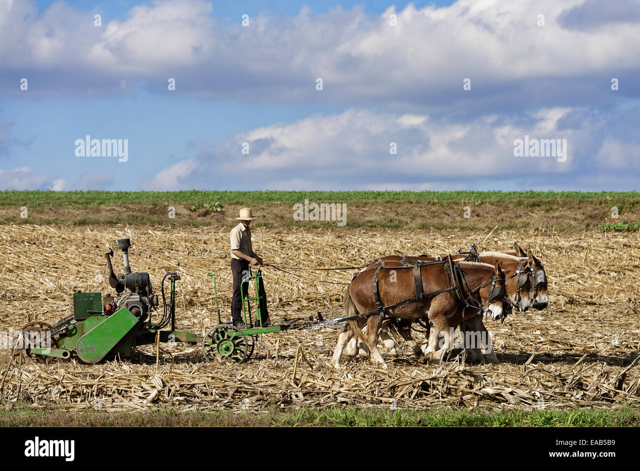 L'agricoltore Amish coltivando con cavallo e macchinari, Superiore Leacock, a Lancaster, Pennsylvania, STATI UNITI D'AMERICA Foto Stock