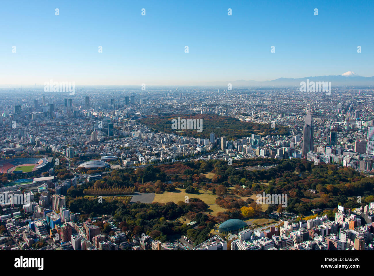 M't fuji & Shinjuku Gyoen National Garden antenna in autunno Foto Stock