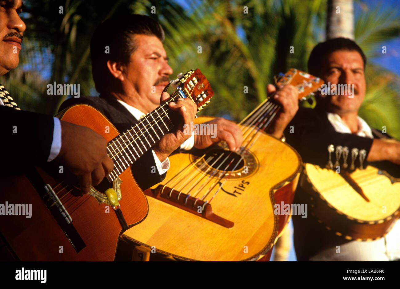 Gruppo Mariachi 'l'Marlins' eseguire a Solmar Resort a Cabo San Lucas, Messico Foto Stock