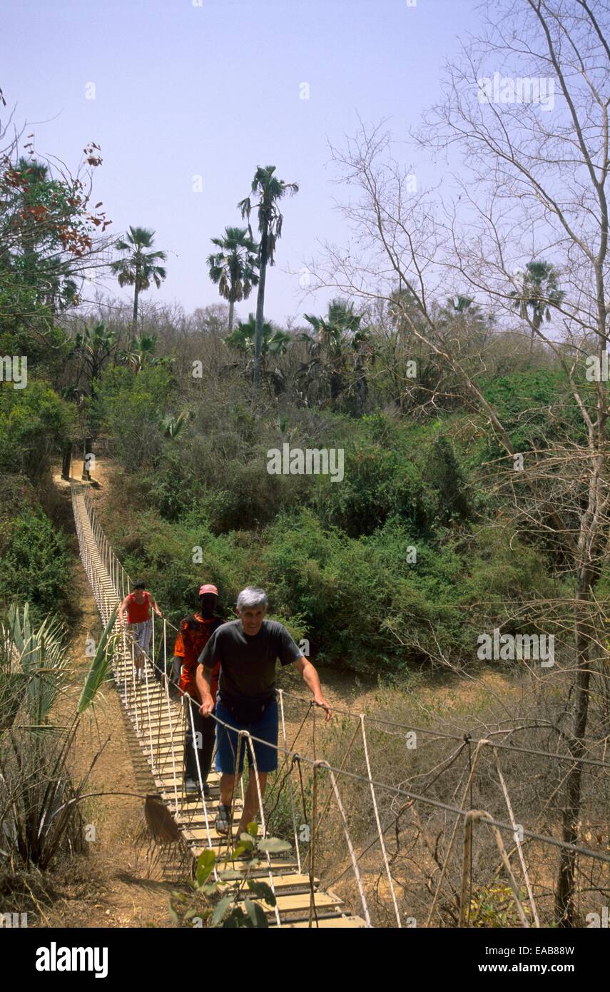 Niokolo koba national park senegal africa immagini e fotografie stock ad  alta risoluzione - Alamy