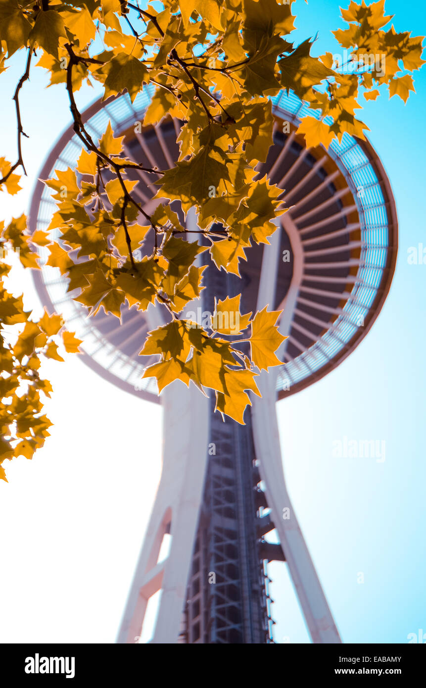 Il Seattle Space Needle in autunno o in calo Foto Stock