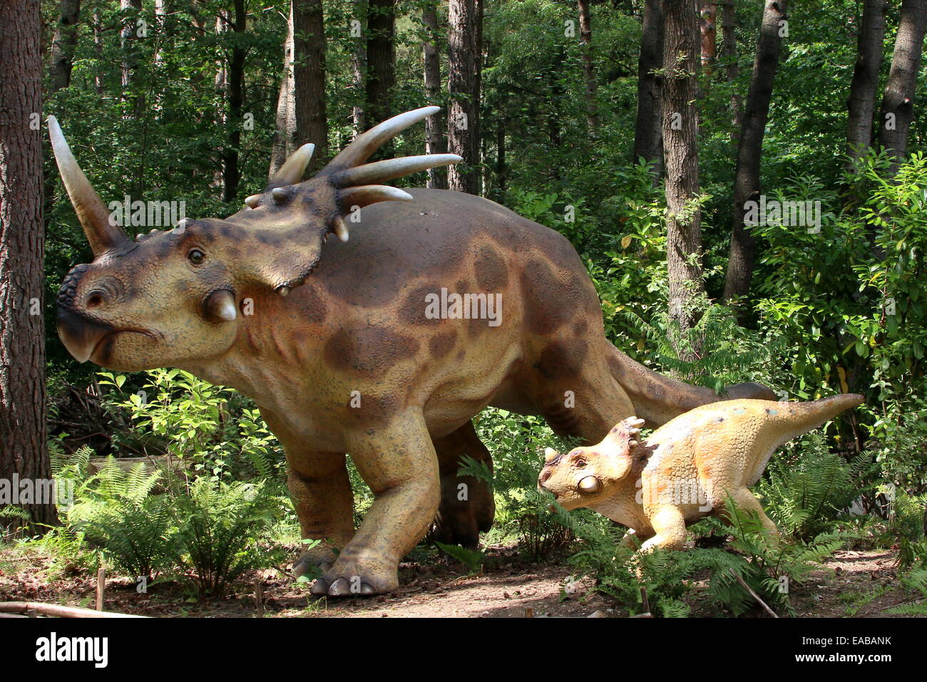 Styracosaurus (spiked lucertola) dinosauro con giovani, Cretaceo era dino realistiche statue Dinopark Zoo di Amersfoort, Paesi Bassi Foto Stock