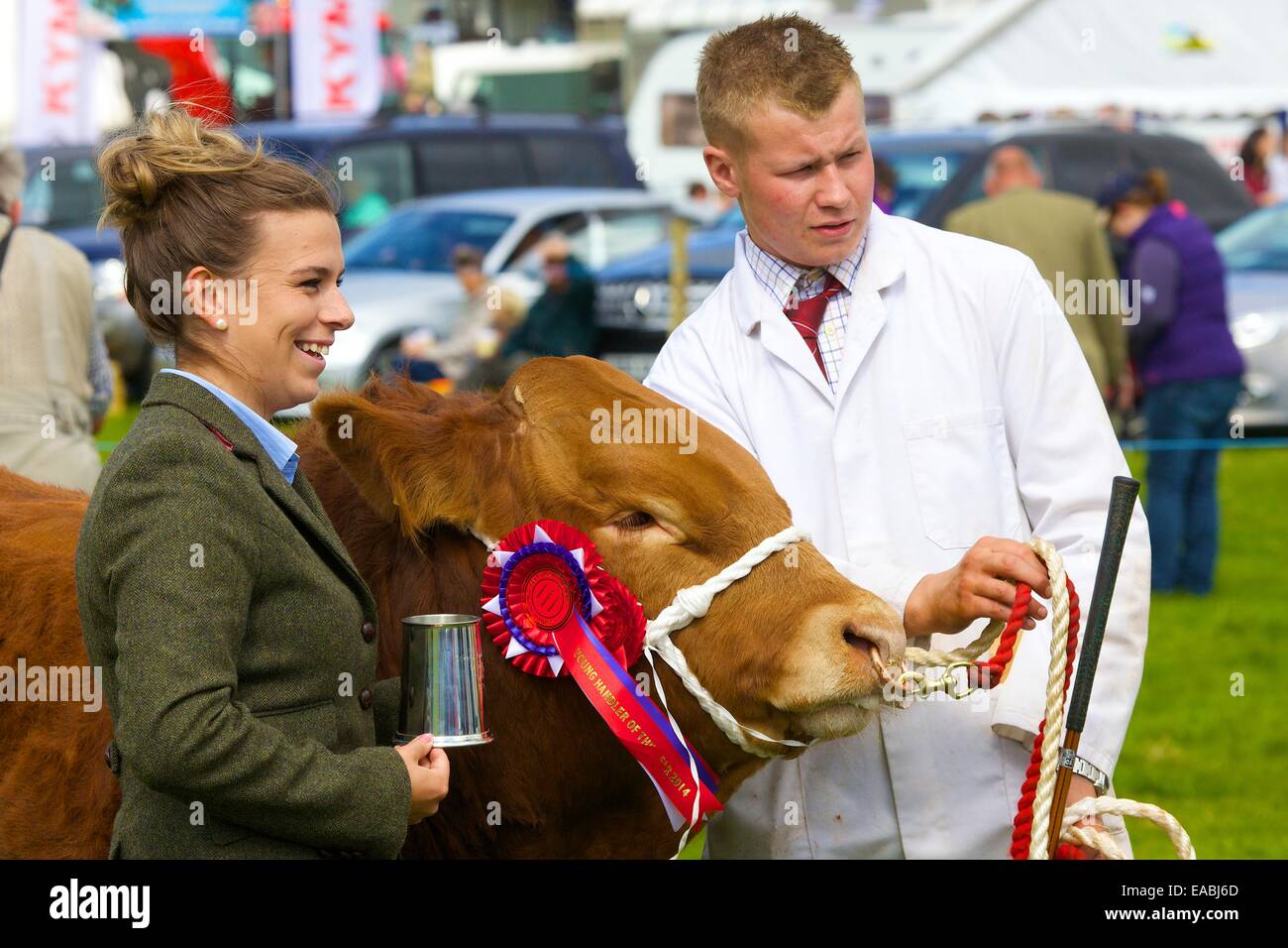 Giovane uomo che mostra bull con il primo premio rosette accanto al giudice femmina a Hesket Newmarket spettacolo agricolo, Hesket Newmarket, Foto Stock