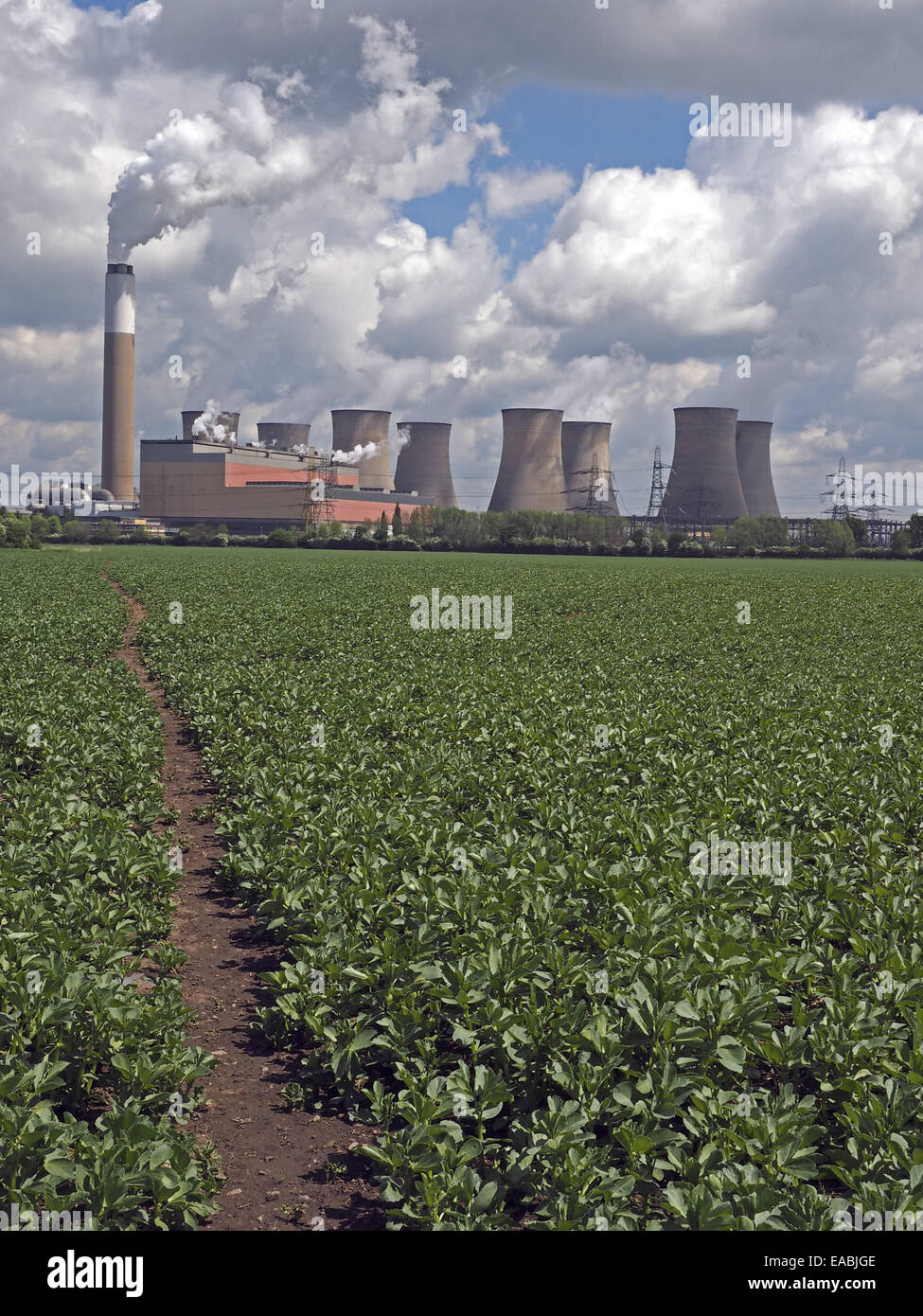 Intestazione percorso attraverso il campo verso Cottam Power Station nel NOTTINGHAMSHIRE REGNO UNITO Foto Stock